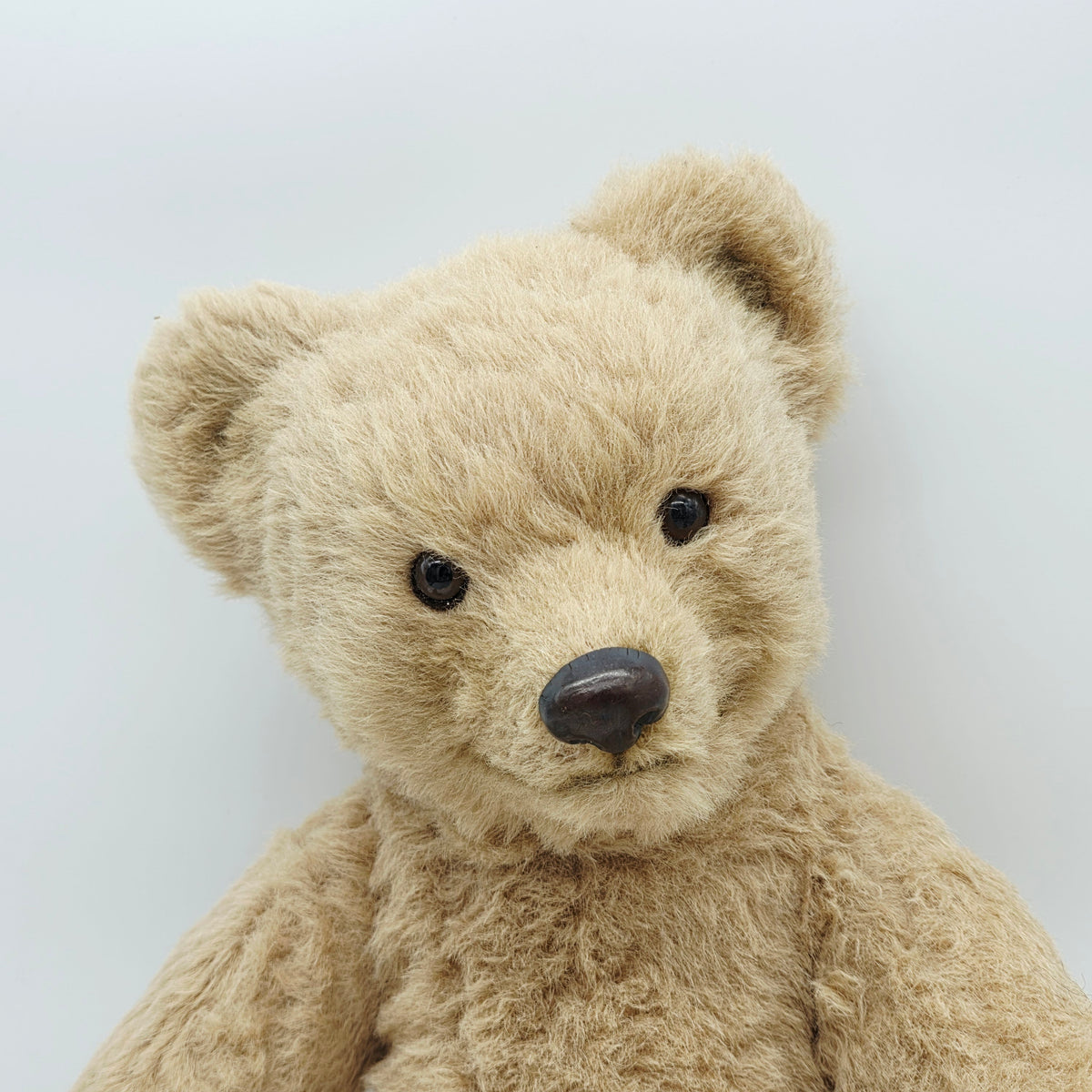 R. John Wright Bear Bo-Sun Teddybär 53 cm limitiert