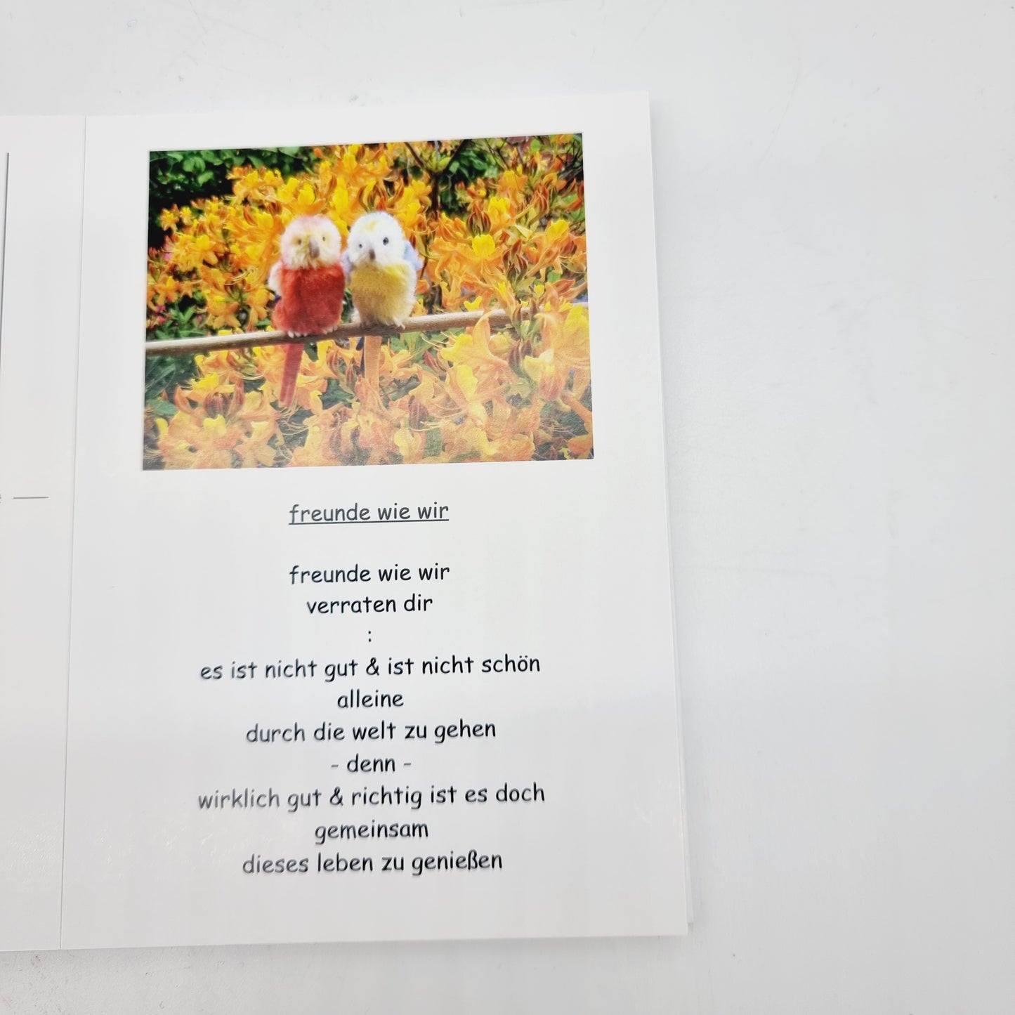 Postkarten Buch - Freunde fürs Leben - Serie 1 - Kerstin F. Wolff