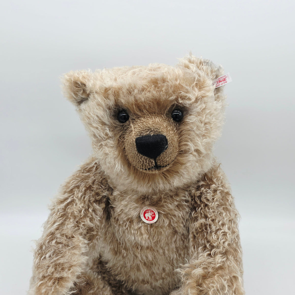 Steiff 036507 Grizzly Ted Teddybär 50 cm aus 2007 limitiert