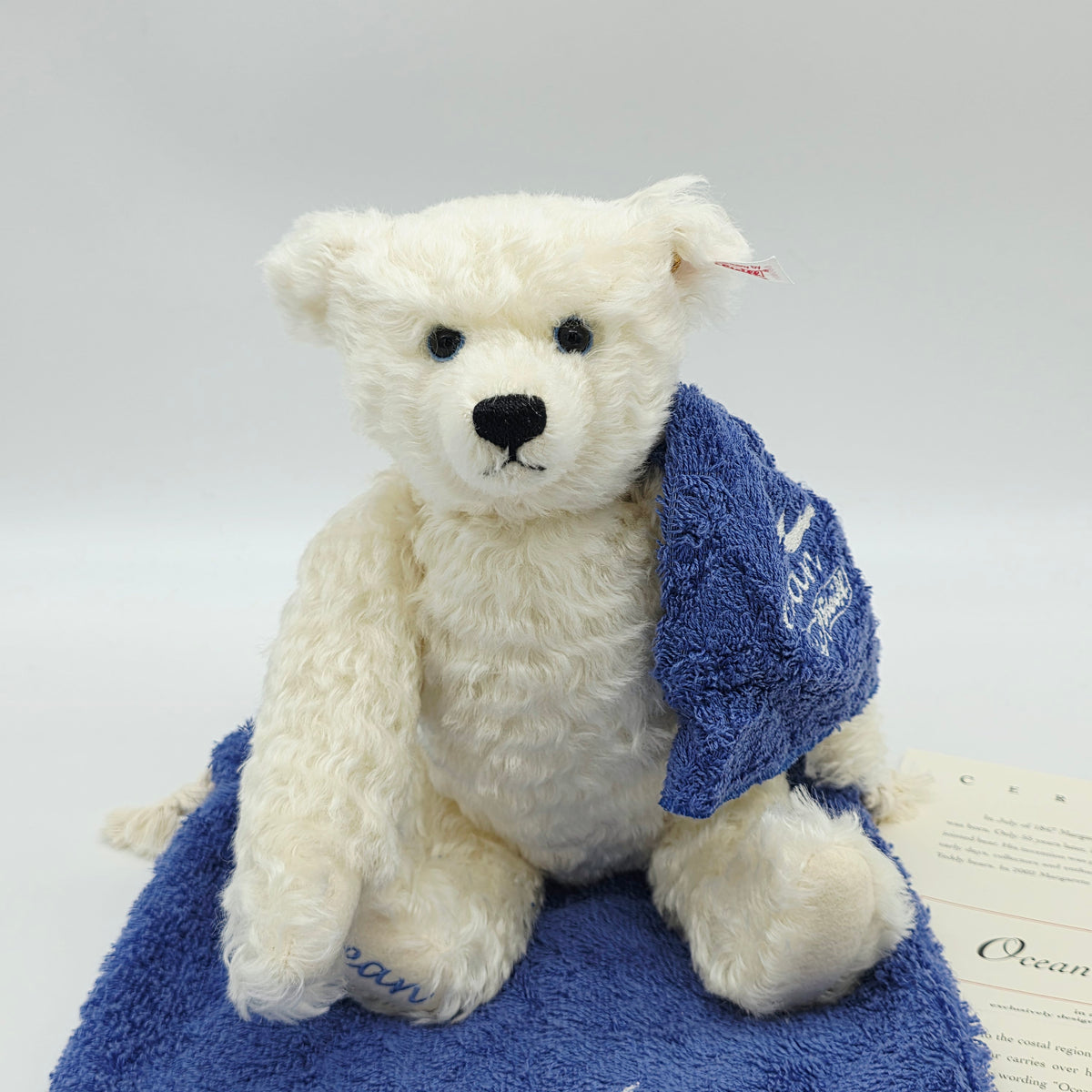 Steiff 660801 Ocean Teddybär 30 cm Jahr 2002 limitiert