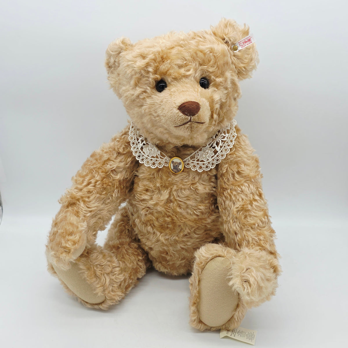 Steiff 667633 Appolonia Teddybär 71 cm The Toy Shoppe Jahr 2004