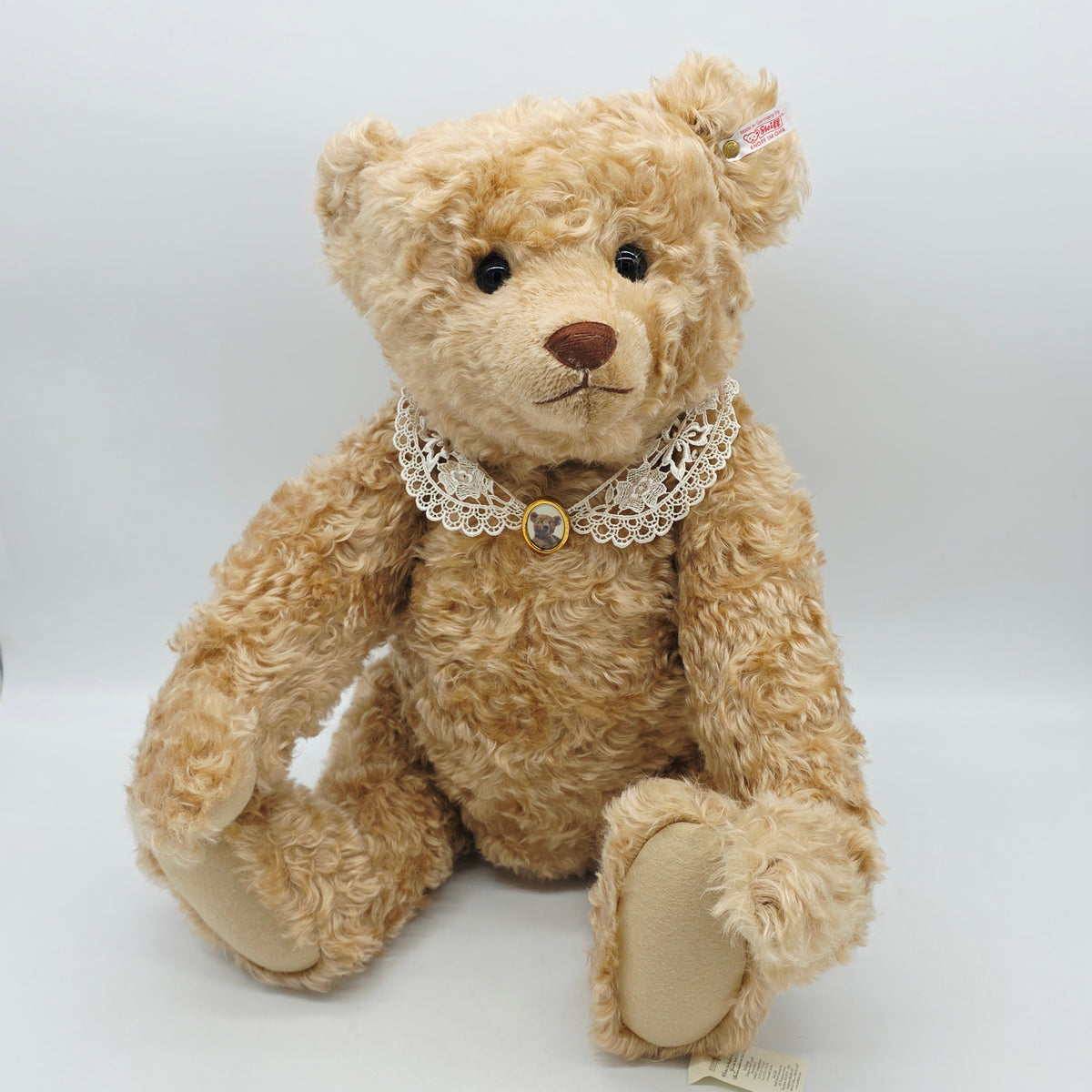 Steiff 667633 Appolonia Teddybär 71 cm The Toy Shoppe Jahr 2004
