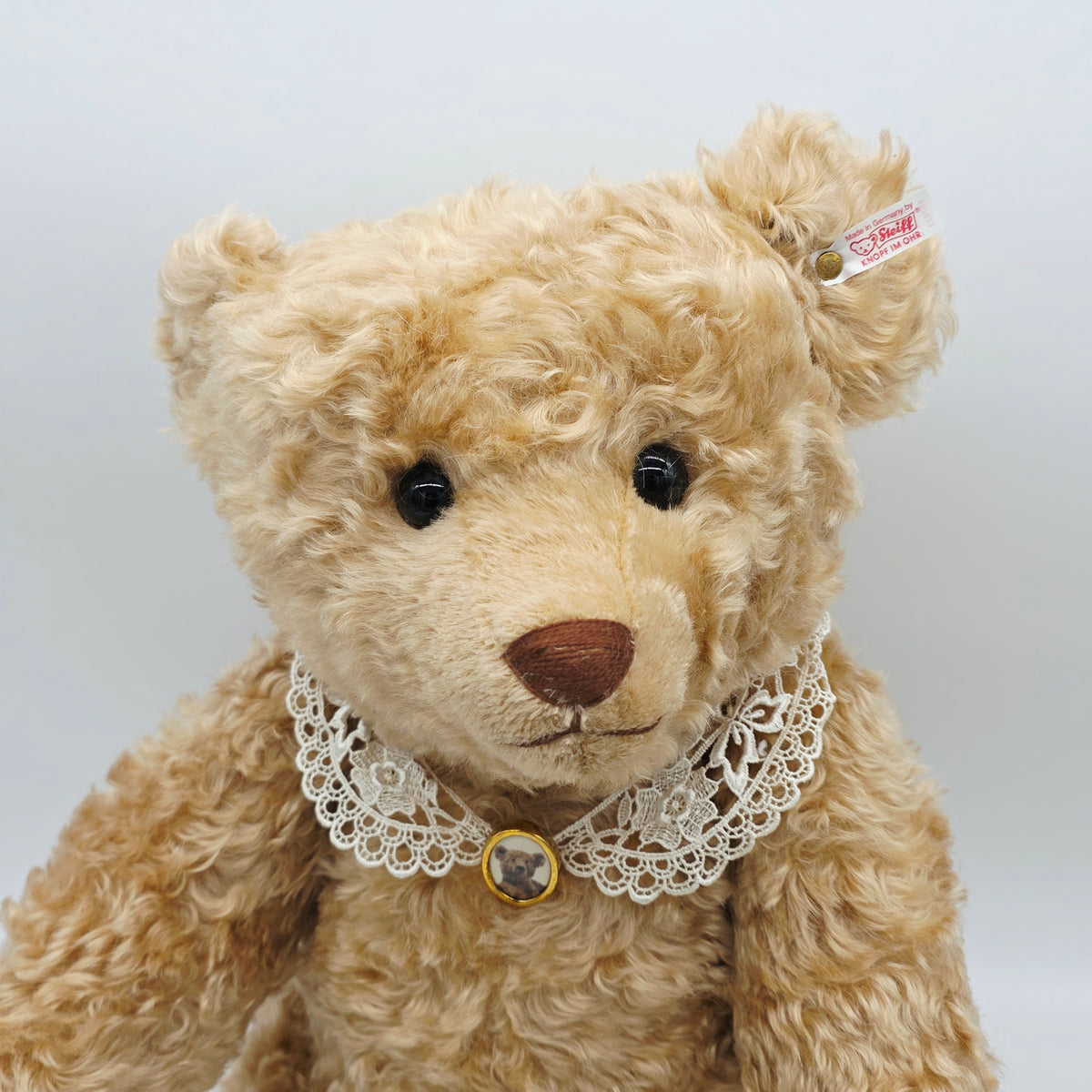 Steiff 667633 Appolonia Teddybär 71 cm The Toy Shoppe Jahr 2004