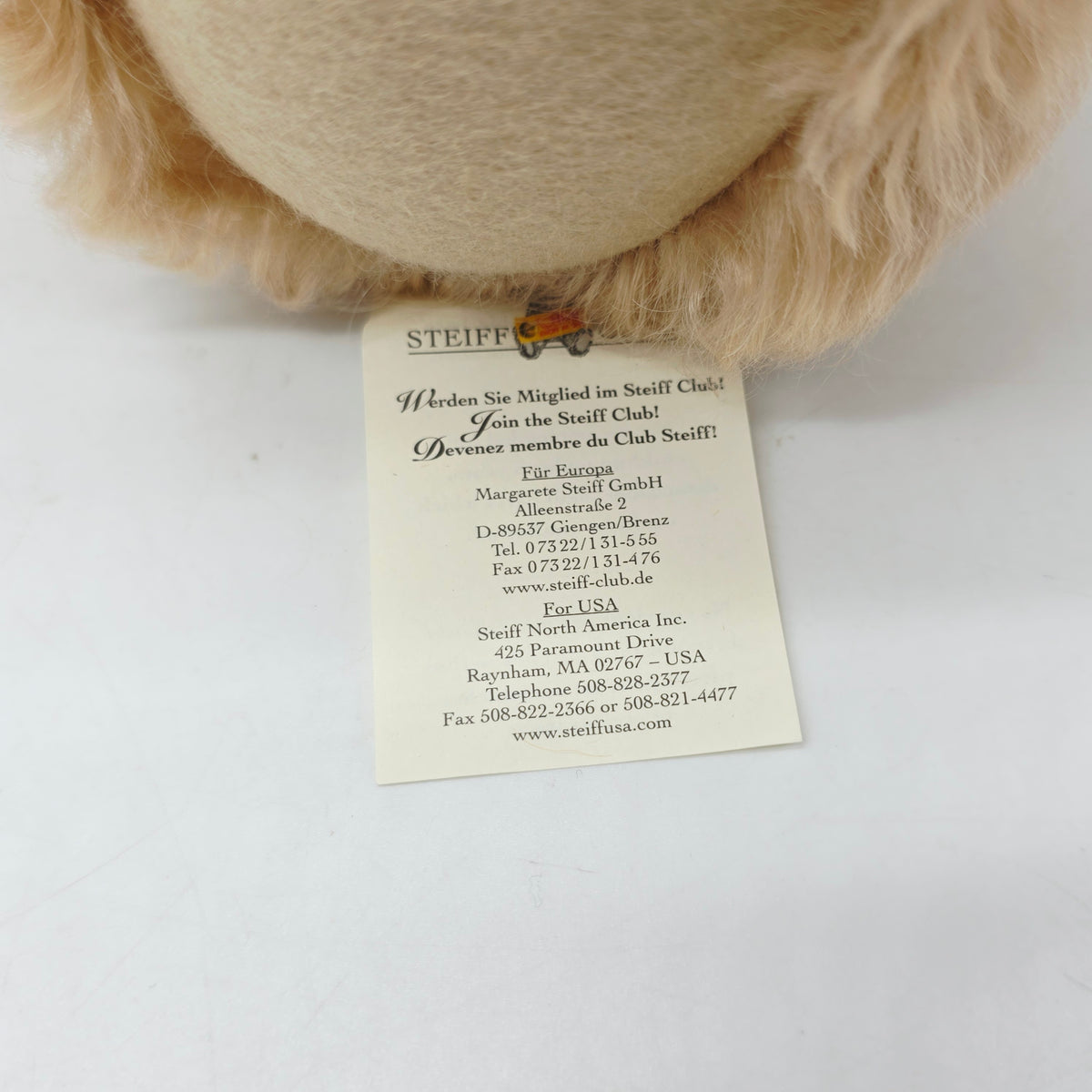 Steiff 667633 Appolonia Teddybär 71 cm The Toy Shoppe Jahr 2004