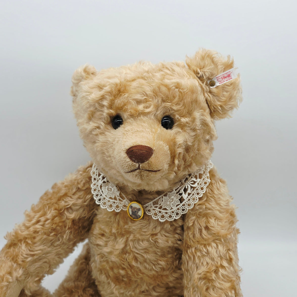 Steiff 667633 Appolonia Teddybär 71 cm The Toy Shoppe Jahr 2004