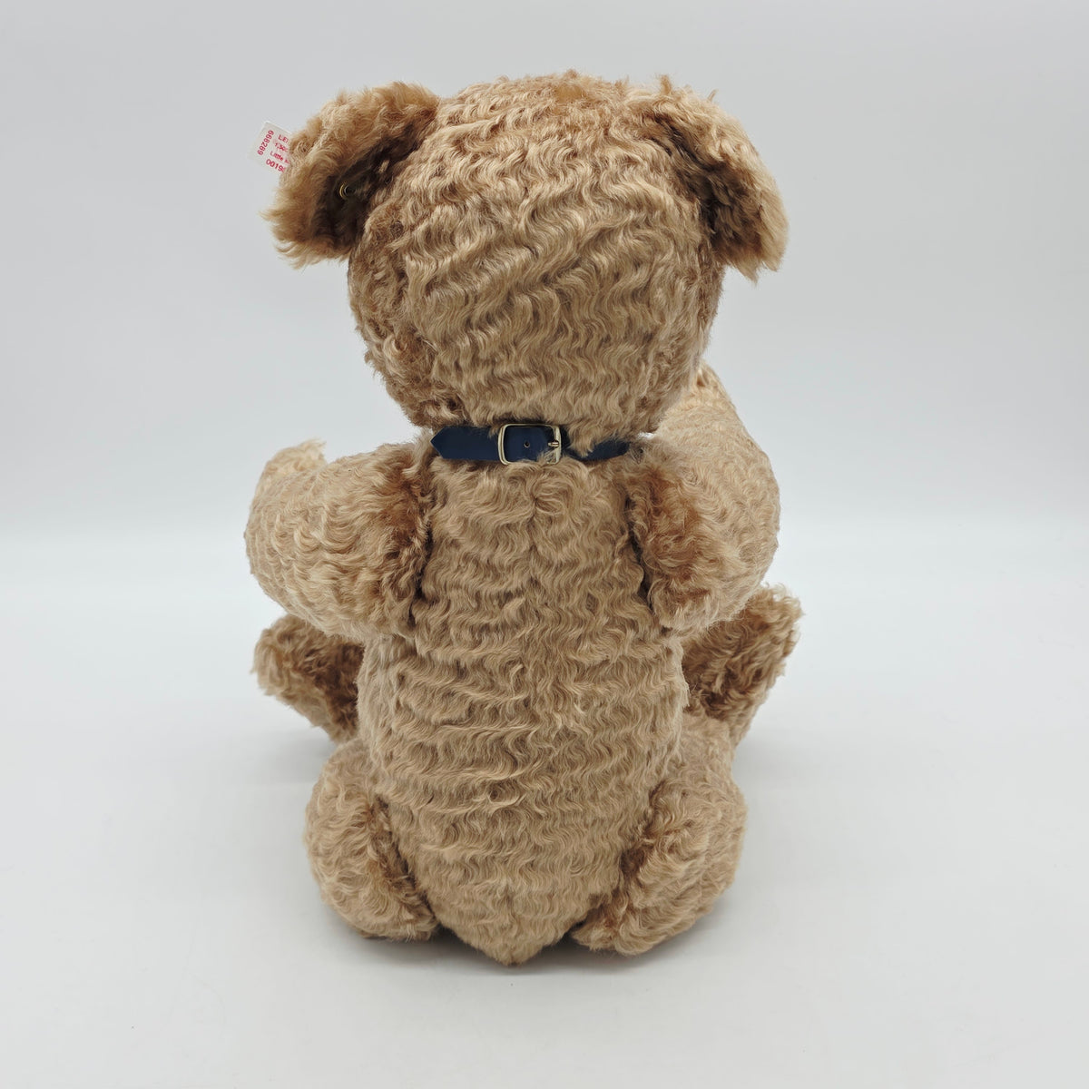 Steiff 668289 Little Max Teddybär  45 cm The Toy Shoppe limitiert