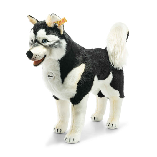 Steiff 502996 Studio Husky 80 cm